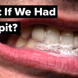 What If Our Mouths Didn’t Have Any Saliva?