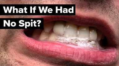 What If Our Mouths Didn’t Have Any Saliva?