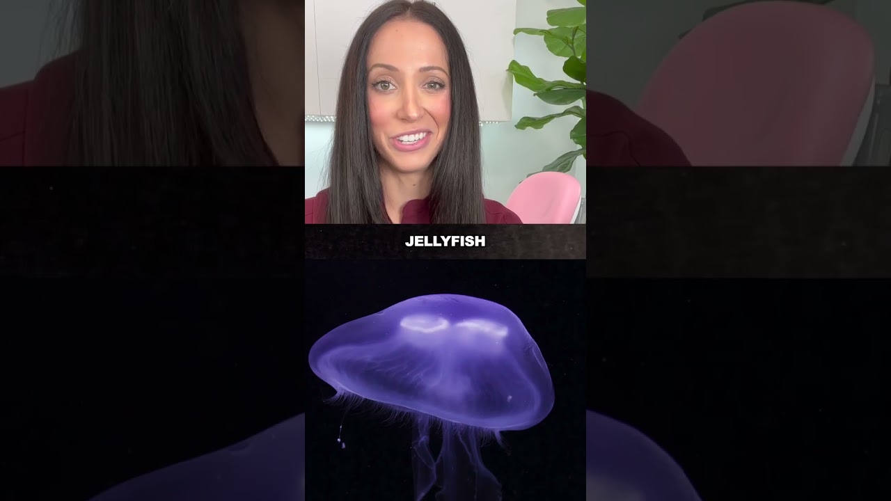 Dental X Rays Explained Shorts Etoners